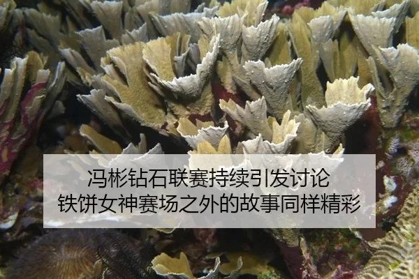 冯彬钻石联赛持续引发讨论 铁饼女神赛场之外的故事同样精彩
